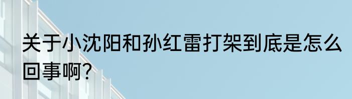 关于小沈阳和孙红雷打架到底是怎么回事啊？