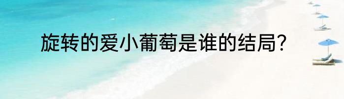 旋转的爱小葡萄是谁的结局？