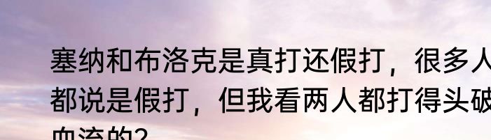 塞纳和布洛克是真打还假打，很多人都说是假打，但我看两人都打得头破血流的？