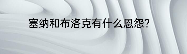 塞纳和布洛克有什么恩怨？