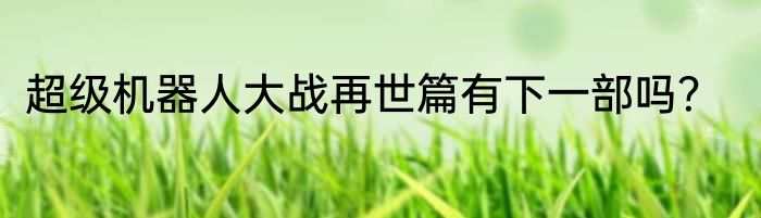 超级机器人大战再世篇有下一部吗？