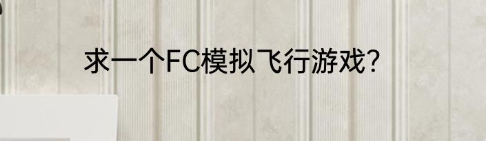 求一个FC模拟飞行游戏？