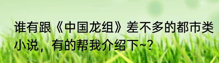 谁有跟《中国龙组》差不多的都市类小说，有的帮我介绍下~？