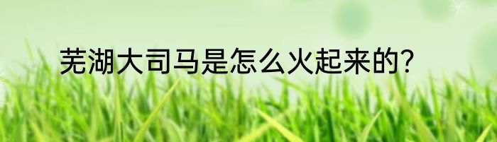 芜湖大司马是怎么火起来的？