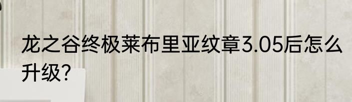 龙之谷终极莱布里亚纹章3.05后怎么升级？