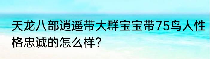 天龙八部逍遥带大群宝宝带75鸟人性格忠诚的怎么样？