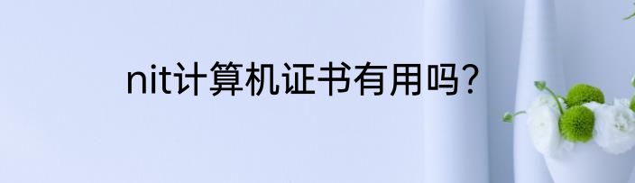 nit计算机证书有用吗？