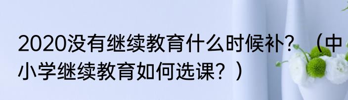 2020没有继续教育什么时候补？（中小学继续教育如何选课？）