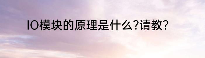 IO模块的原理是什么?请教？