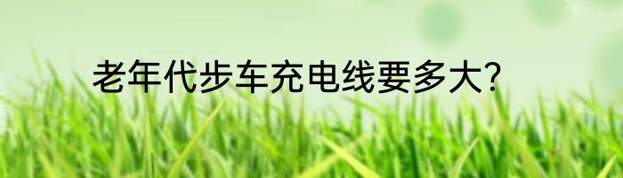 老年代步车充电线要多大？