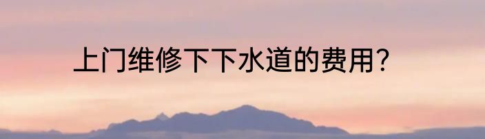 上门维修下下水道的费用？