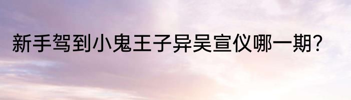 新手驾到小鬼王子异吴宣仪哪一期？