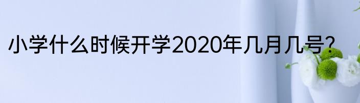 小学什么时候开学2020年几月几号？