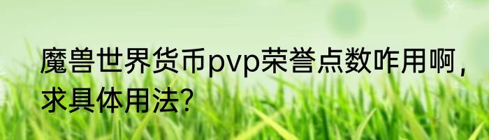 魔兽世界货币pvp荣誉点数咋用啊，求具体用法？