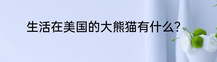 生活在美国的大熊猫有什么？
