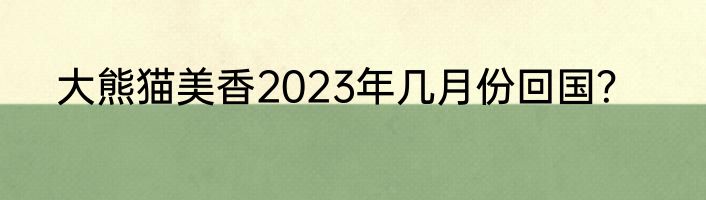 大熊猫美香2023年几月份回国？