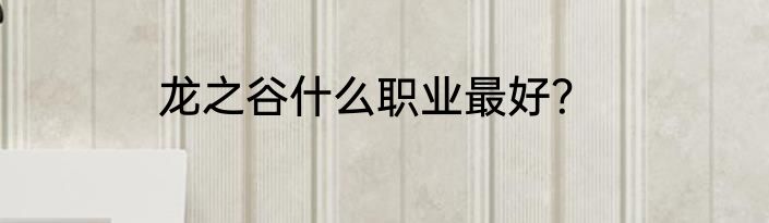 龙之谷什么职业最好？