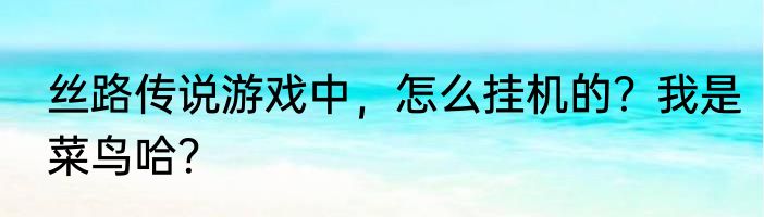 丝路传说游戏中，怎么挂机的？我是菜鸟哈？