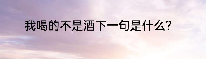 我喝的不是酒下一句是什么？