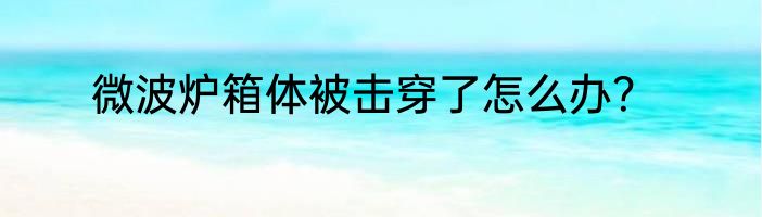 微波炉箱体被击穿了怎么办？