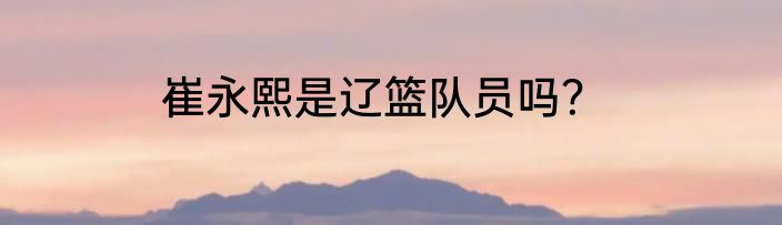 崔永熙是辽篮队员吗？