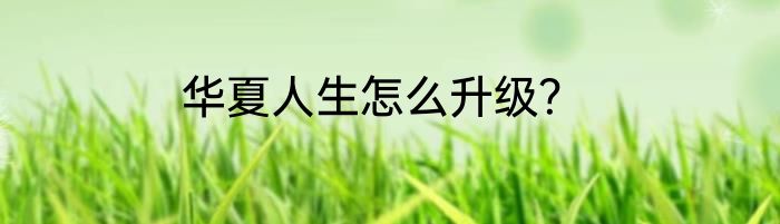 华夏人生怎么升级？