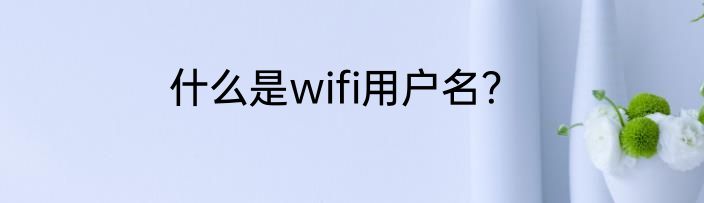 什么是wifi用户名?