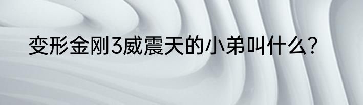 变形金刚3威震天的小弟叫什么？
