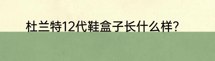 杜兰特12代鞋盒子长什么样？