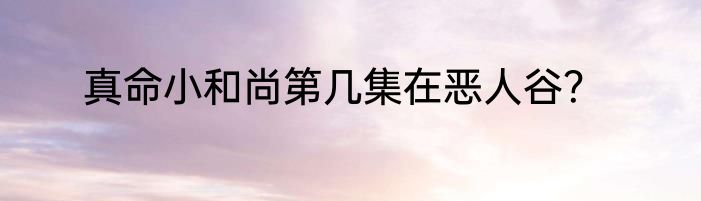 真命小和尚第几集在恶人谷？