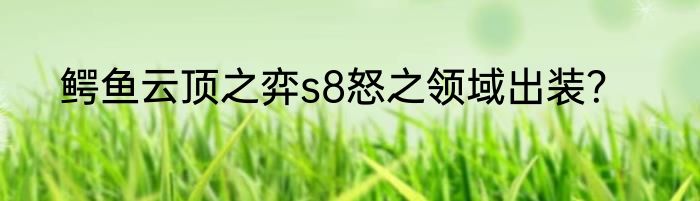 鳄鱼云顶之弈s8怒之领域出装？