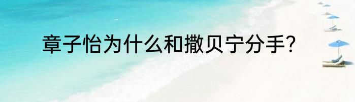 章子怡为什么和撒贝宁分手？