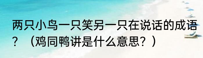 两只小鸟一只笑另一只在说话的成语？（鸡同鸭讲是什么意思？）