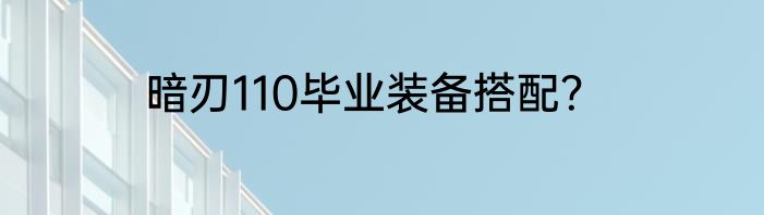 暗刃110毕业装备搭配？