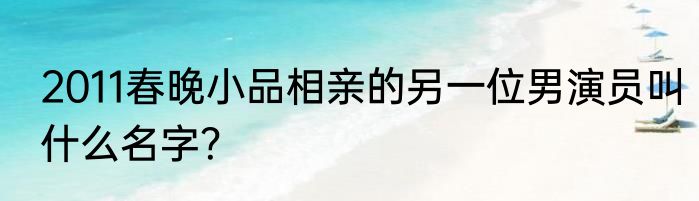 2011春晚小品相亲的另一位男演员叫什么名字？