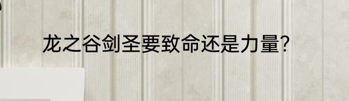 龙之谷剑圣要致命还是力量？