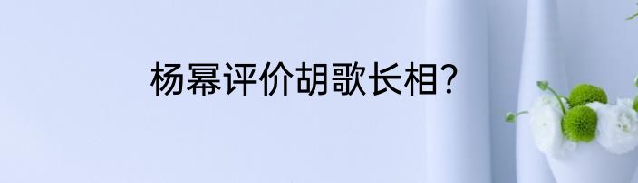 杨幂评价胡歌长相？