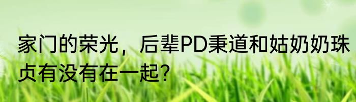 家门的荣光，后辈PD秉道和姑奶奶珠贞有没有在一起？