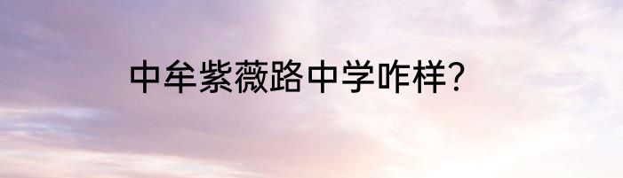 中牟紫薇路中学咋样？