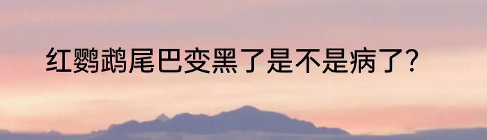红鹦鹉尾巴变黑了是不是病了？