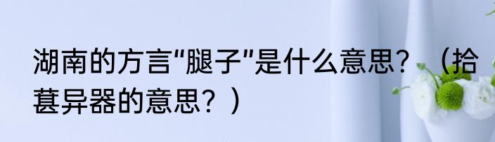 湖南的方言“腿子”是什么意思？（拾葚异器的意思？）