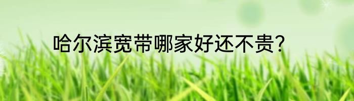 哈尔滨宽带哪家好还不贵？