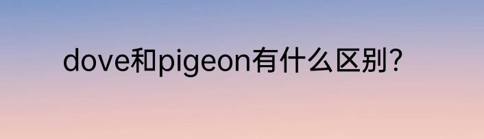 dove和pigeon有什么区别？