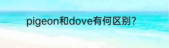 pigeon和dove有何区别？