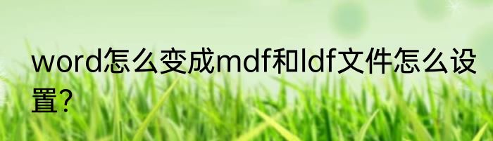 word怎么变成mdf和ldf文件怎么设置？
