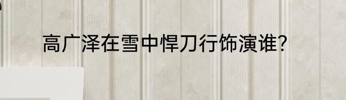 高广泽在雪中悍刀行饰演谁？