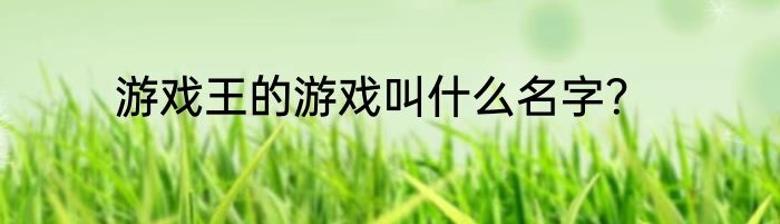 游戏王的游戏叫什么名字？