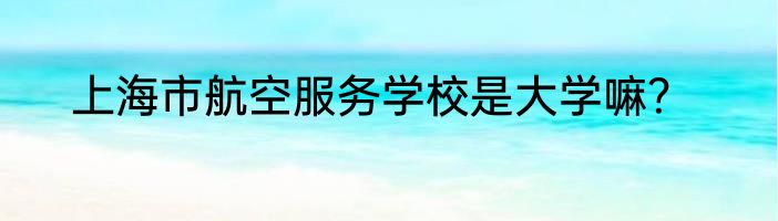 上海市航空服务学校是大学嘛？
