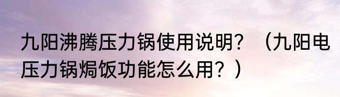 九阳沸腾压力锅使用说明？（九阳电压力锅焗饭功能怎么用？）