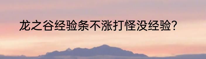 龙之谷经验条不涨打怪没经验？